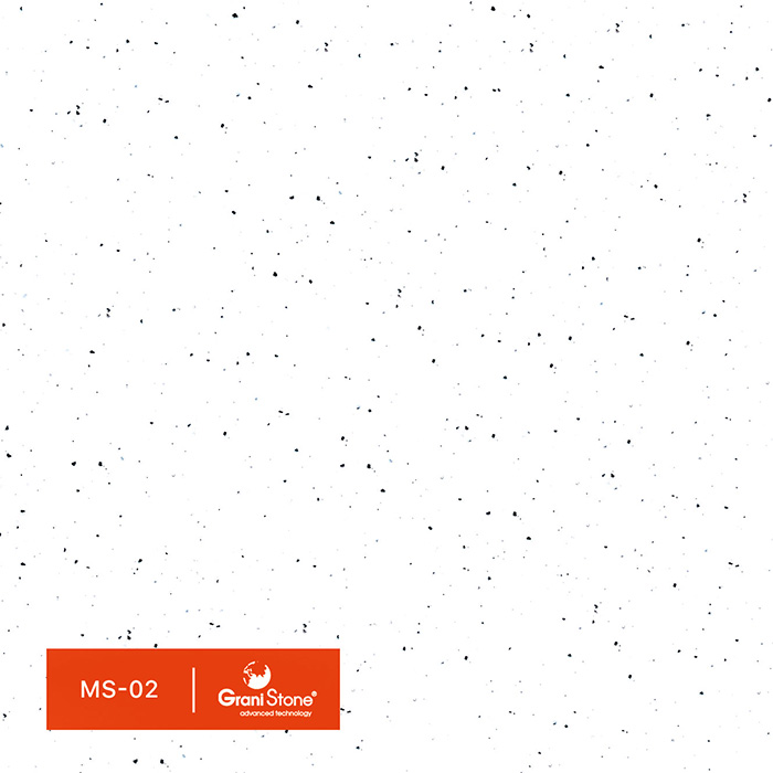 ������ ������ GraniStone, ��������� Twin-MS, ���. MS-02